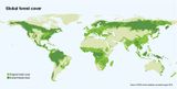 Globale Waldbedeckung ursprünglich und aktuell Lizenz: CC BY-NC-SA