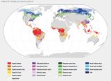 Globale Waldbedeckung nach ökologischen Zonen Lizenz: CC BY-NC-SA