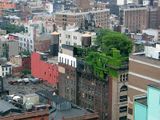 Dachbegrünung Manhattan Foto von 2003 Lizenz: CC BY