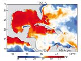 Hurrikan Harvey Sept. 2017 Meeresoberflächentemperatur Lizenz: