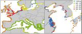 Extreme Meeresspiegeländerung Europa und Ostasien bis 2100 Lizenz: CC BY