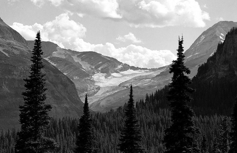 Datei:Jackson Glacier 1941.jpg