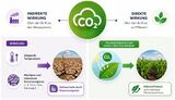 Wirkung von CO2 auf Pflanzen Lizenz: CC BY-SA