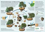 Wald und Holz als Kohlenstoffspeicher Lizenz: FNR-Lizenz