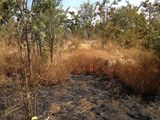 Feuer in der Savanne Mali 2016 Lizenz: CC BY