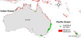 Australien Mangroven-Gebiete Lizenz: CC BY-SA