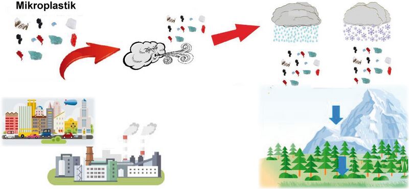 Datei:Mikroplastik-Quellen-Transport.jpg