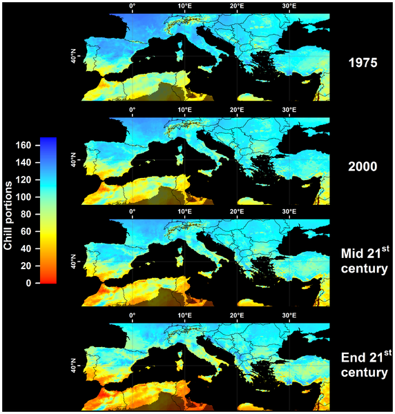 Datei:Modeled and projected Safe Winter Chill in the Mediterranean region.png