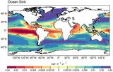 Ozeanische anthropogene CO2-Senke 2011-2020 Lizenz: CC BY