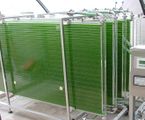 Photobioreaktor aus Plastikplatten Kultivierung von Mikroalgen Lizenz: CC BY-SA