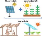 Phovoltaik + Landwirtschaft = Agrivoltaik