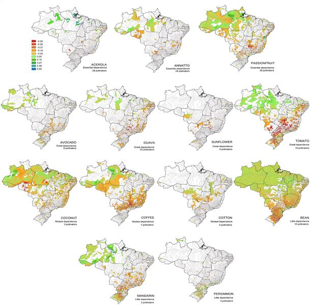 Datei:Potential shift in the pollinator occurrence probability related to projected climate change for 2050 in the Brazilian municipalities.jpg
