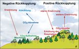 Rückkopplung der Vegetation mit dem CO2-Gehalt der Atmosphäre Lizenz: CC BY-NC-SA