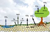 Stoffkreisläufe Boden als Speicher und Emittent von Treibhausgasen Lizenz: CC BY-NC-SA