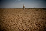 Trockene Böden in Mauretanien Aufgenommen am 17. Februar 2012. Lizenz: CC BY-SA-NC