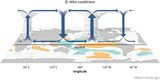 Walker-Zirkulation während El-Niño-Bedingungen Die Walker-Zirkulation über dem Pazifik Lizenz: NOAA public domain