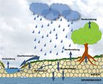 Wasserkreislauf und Boden Prozesse Lizenz: CC BY-NC-SA