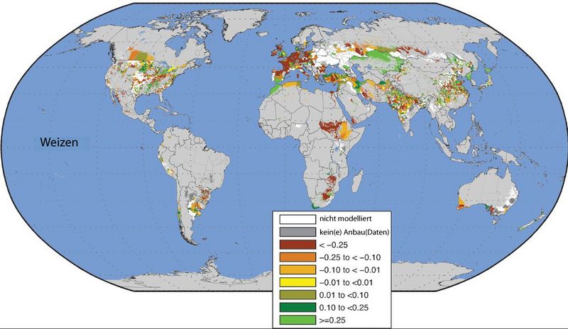 Datei:Wheat climate change-dt.jpg
